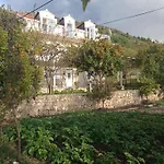 Nikola Apartman *