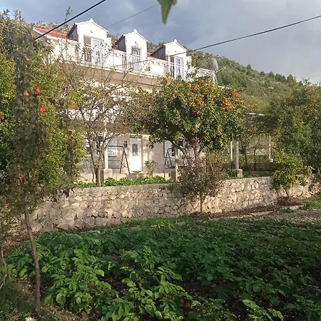 Nikola Appartement *