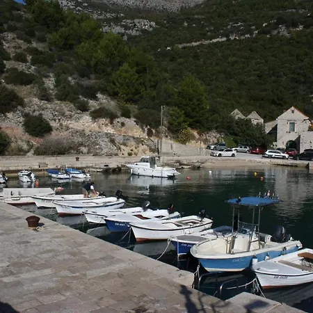 Nikola Apartamento